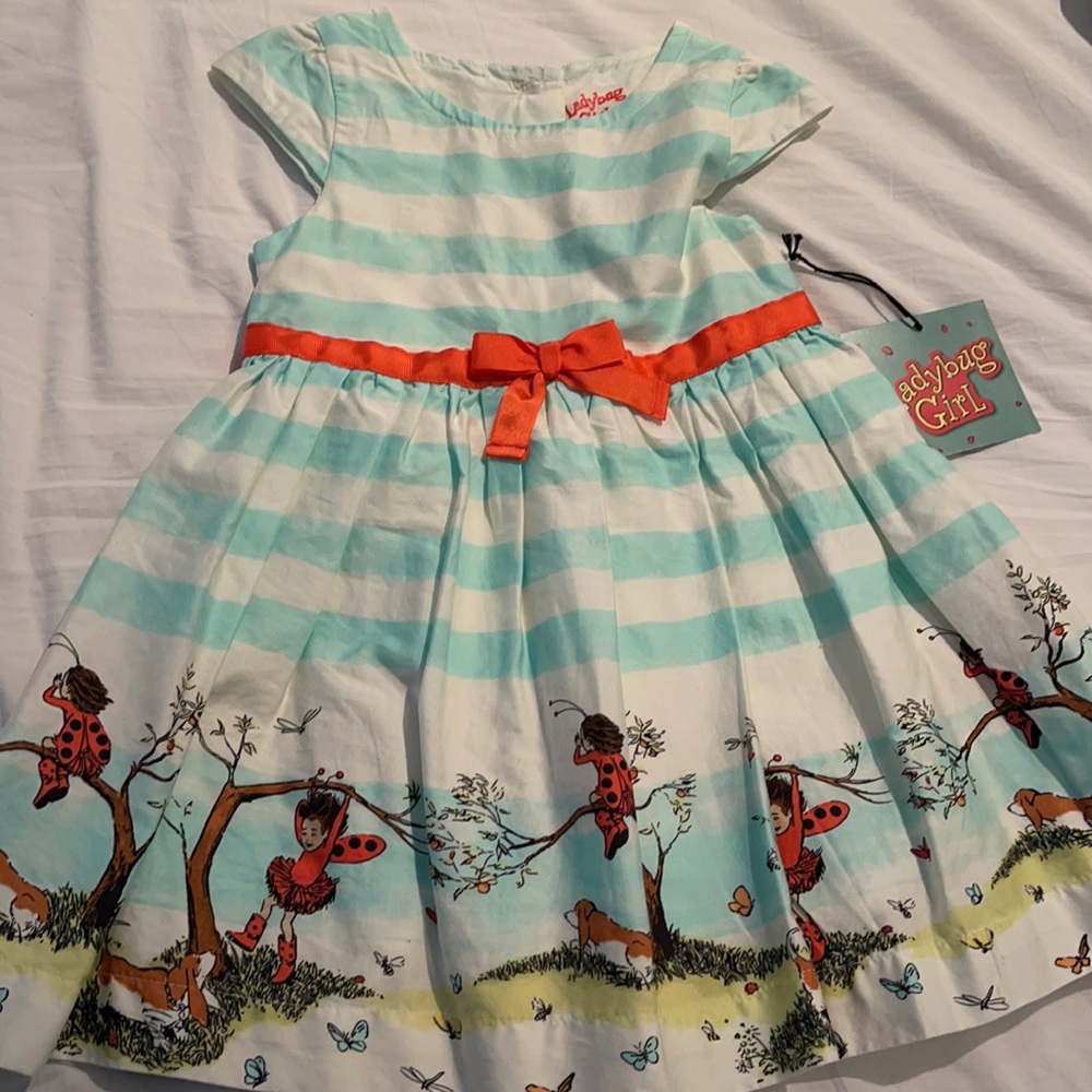 Ladybug Girl dress